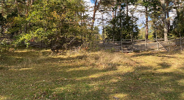 Tältplats Grenle udd, Lövö
