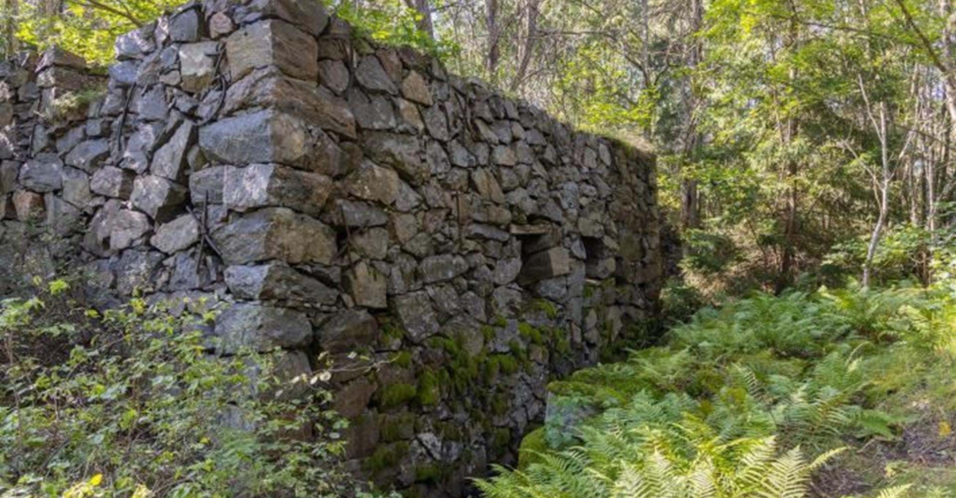 Kvarnruin vid Kvarndammen nära Stegeborg.
Söderköping
