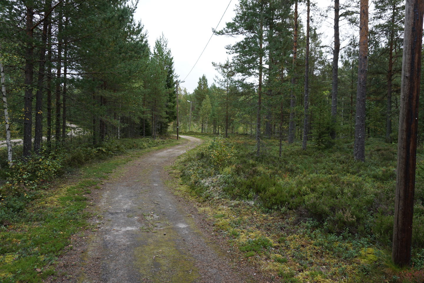 Hedens motionsspår