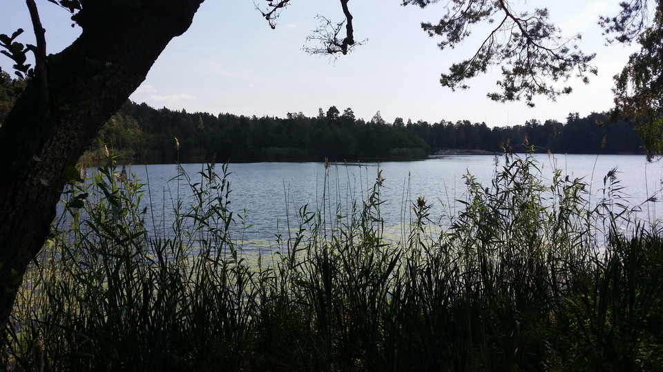 Kottlasjön sedd från Trasthagen. Foto Lidingö stad