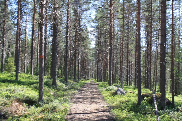 The Old biking trail: Elmajärvi - Bastukojan - Dirijärvi