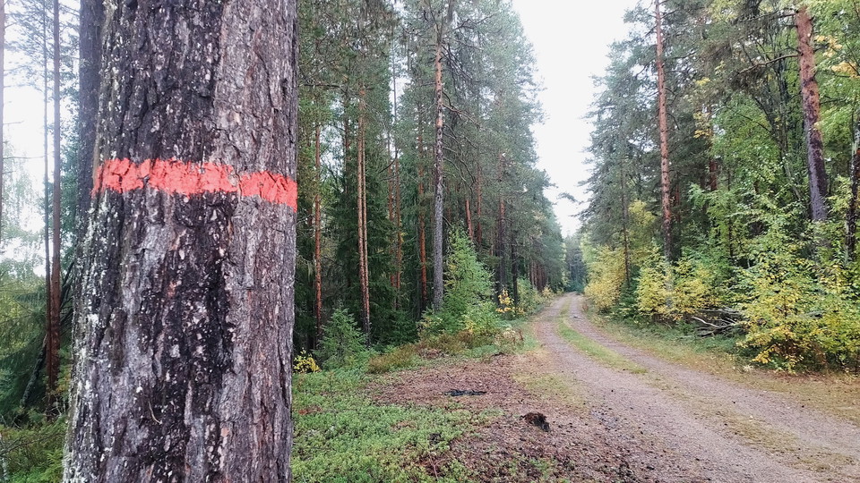 Laforsen, start eller slutpunkt västerut för Flottarstigen