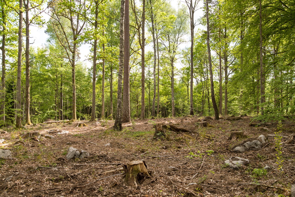 Fotograf: Tobias Ivarsson