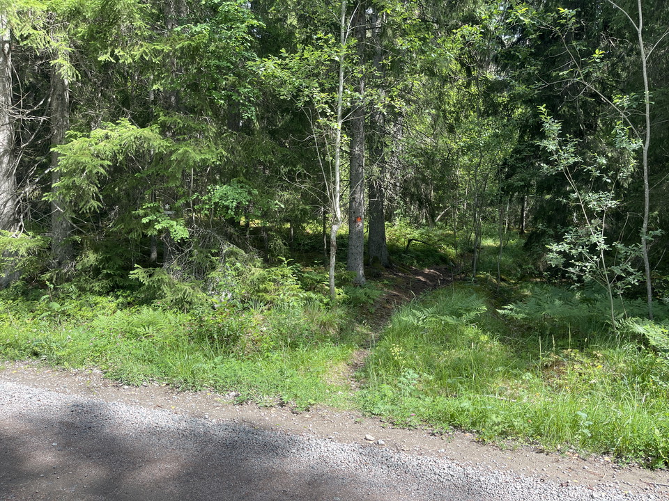 Ledmarkering in i skog.