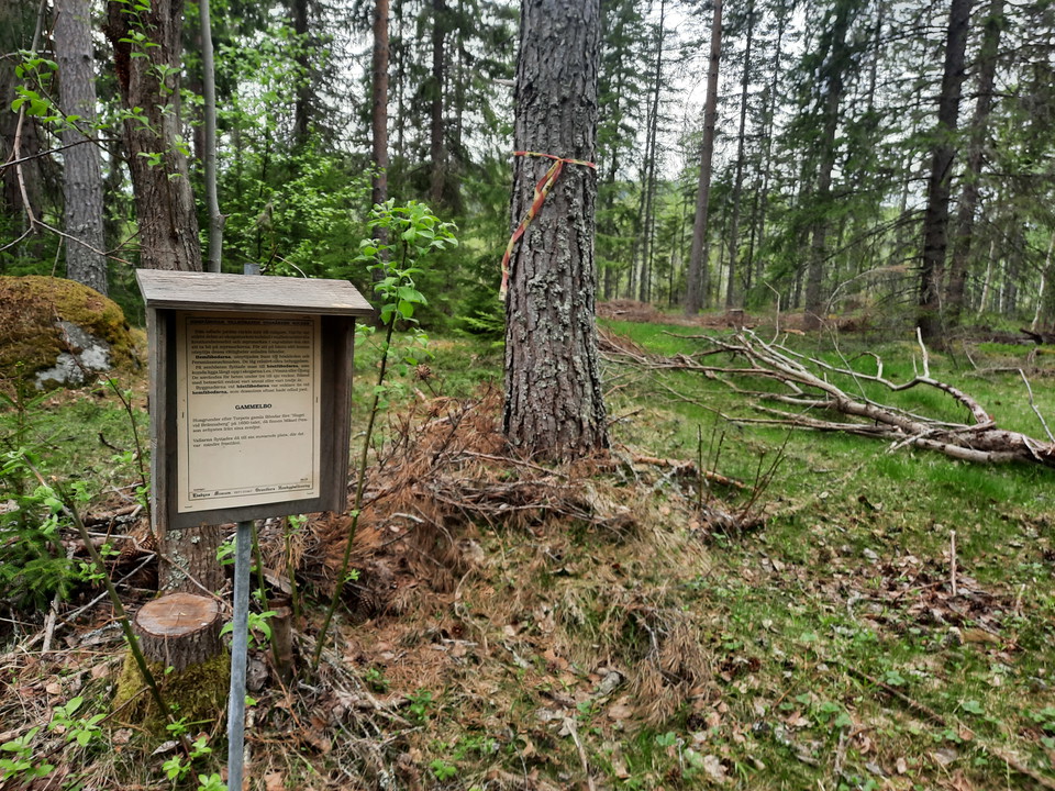Husgrund efter en tidigare fäbod. 