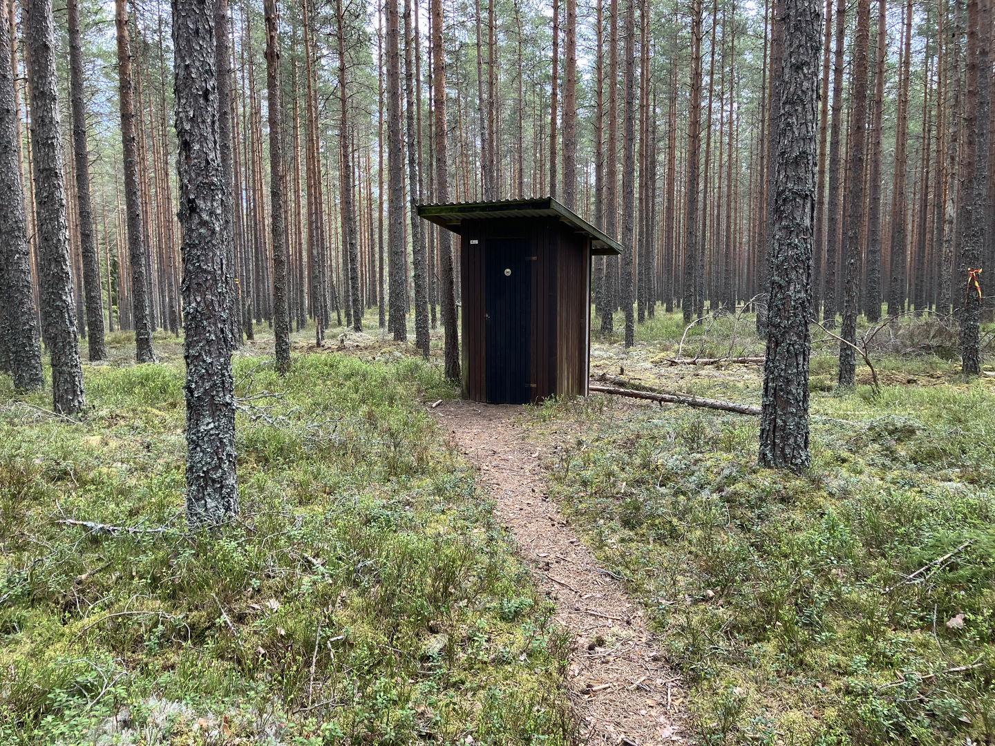 Torrdass i anslutning till parkeringen.