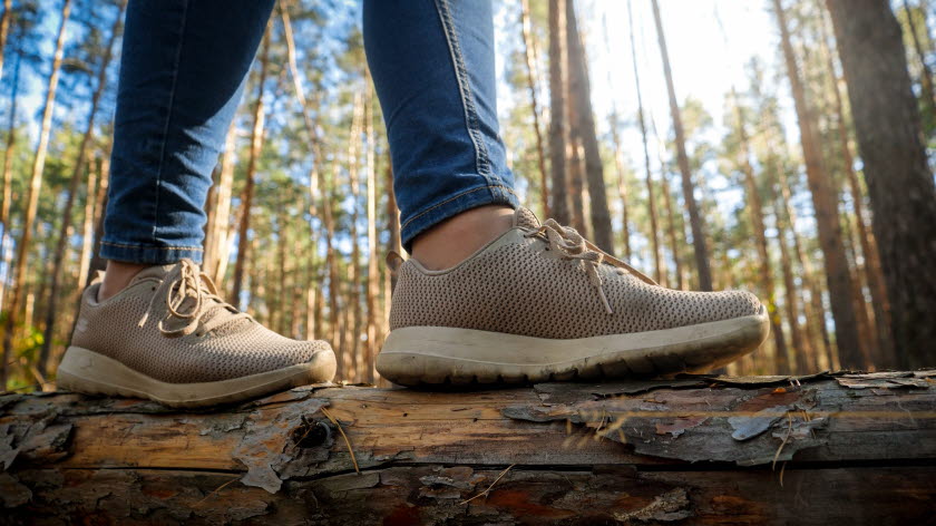 Närbild fötter på en trädstam i skogen