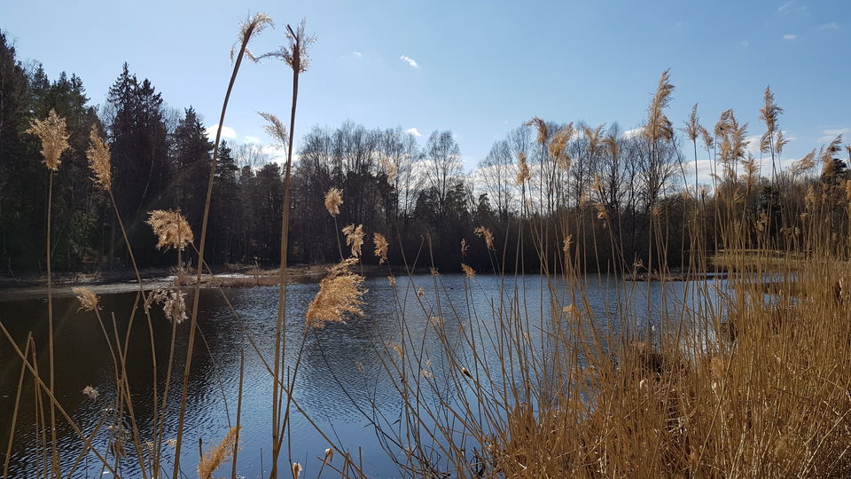 Rudbodakärret. Foto Lidingö stad