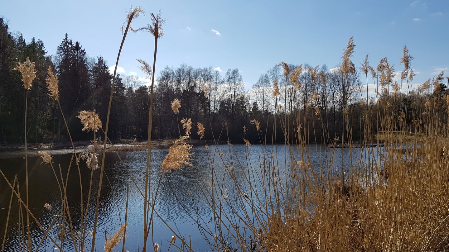 Rudbodakärret. Foto Lidingö stad