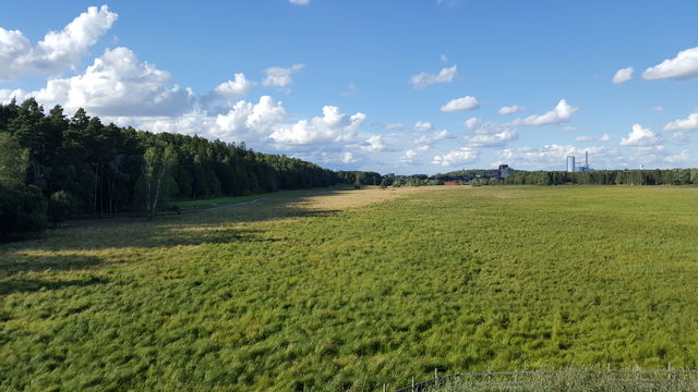 Dyarna och Gröngarnsåsen