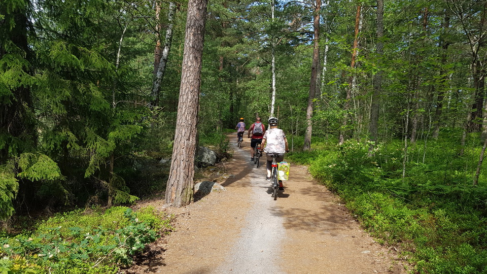 Stig till badberget. Foto Lidingö stad