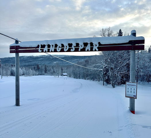 126 Skogsrundan (vinterled, Edsåsdalen)