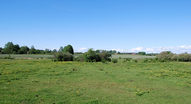 Landskapsbild Dagstorps mosse.