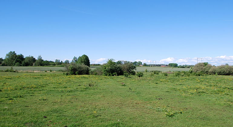 Landskapsbild Dagstorps mosse.