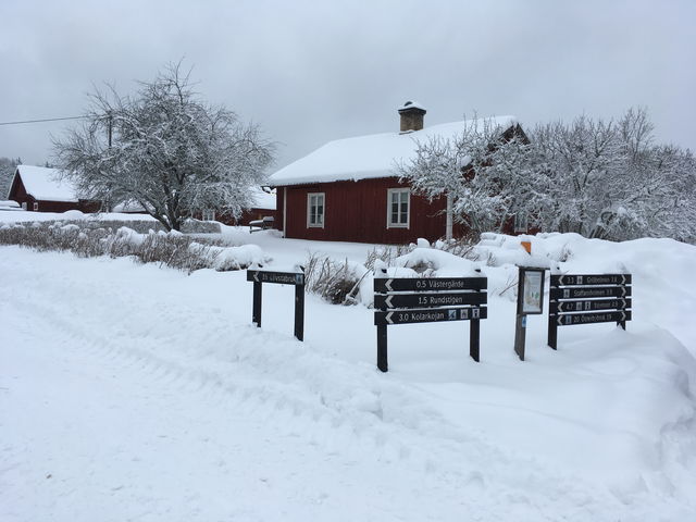 Parkering Risön, Florarna