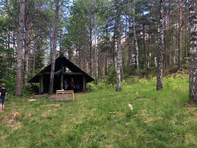 Vindskydd