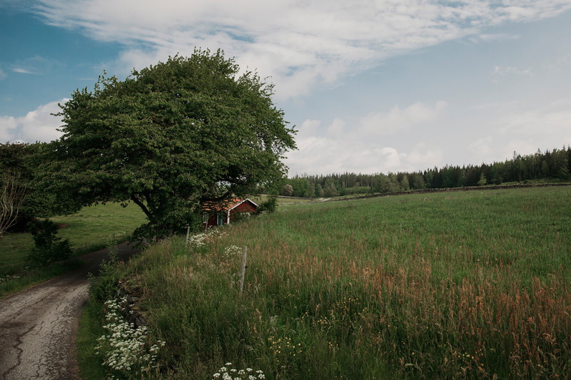 Sötåsa