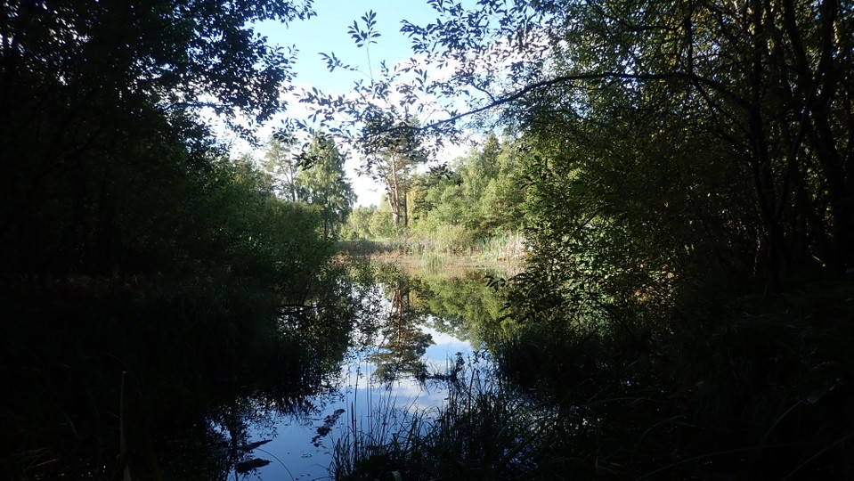 Mulletjärnen nedanför Örnnästet. Foto Lidingö stad