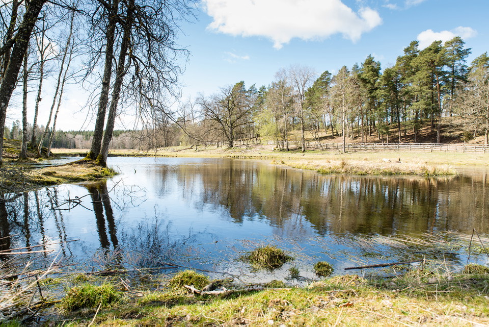 Väsby sjöäng.
