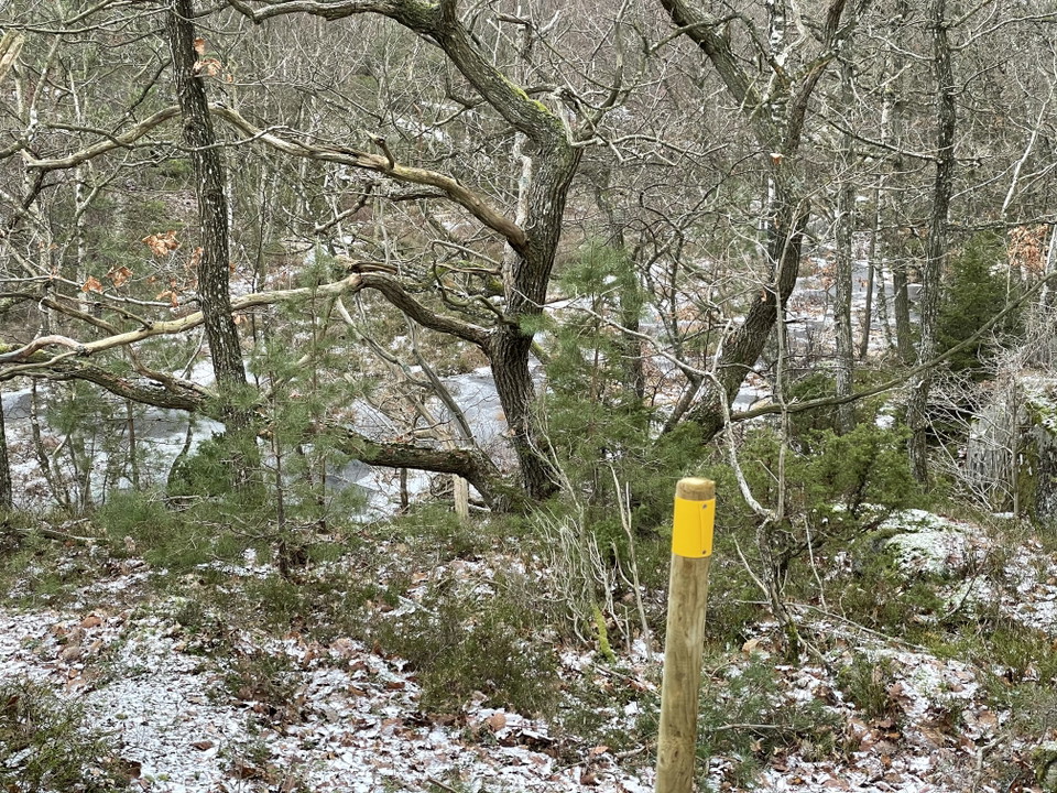 Färgmarkering Särö motionsslinga