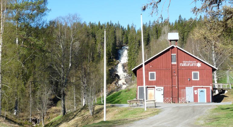 Västanåfallets naturreservat.