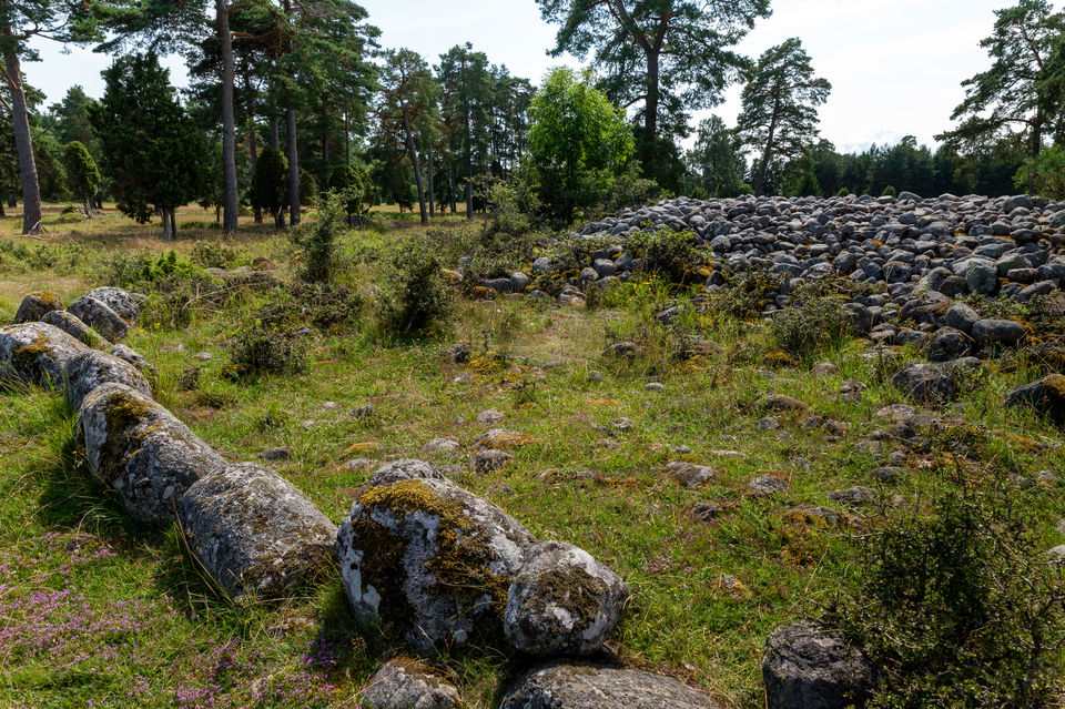 Bronsåldersgrav