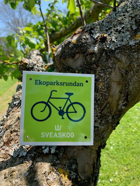 Bild: Sveaskog
