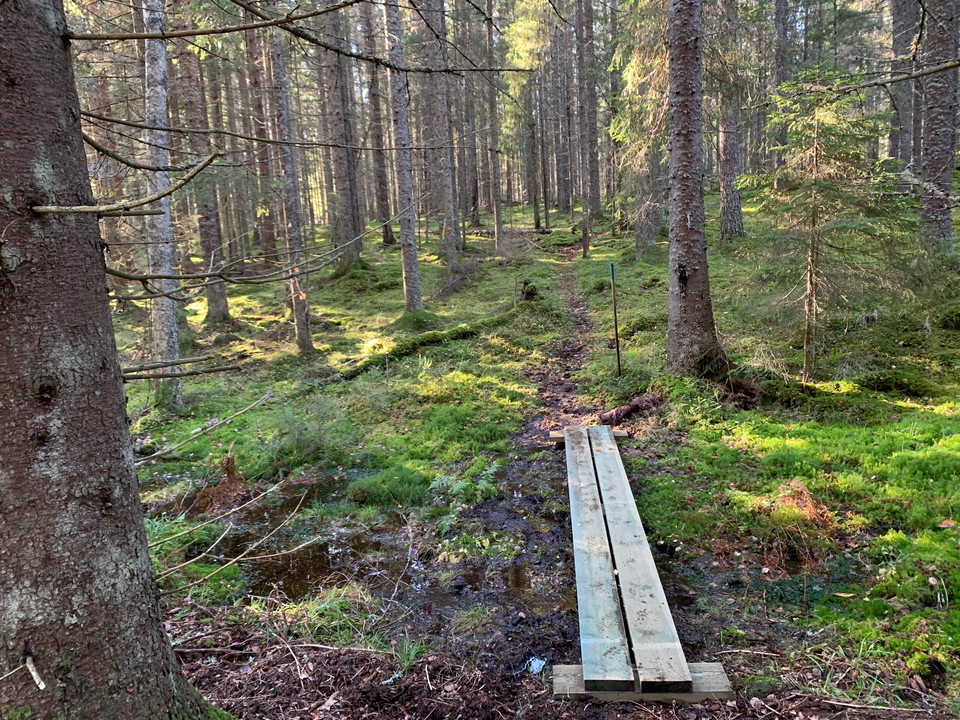 Längs med Skolstigen