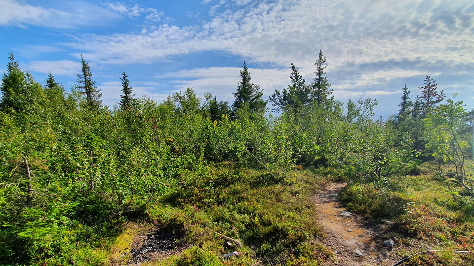 Stigen på toppen av berget.