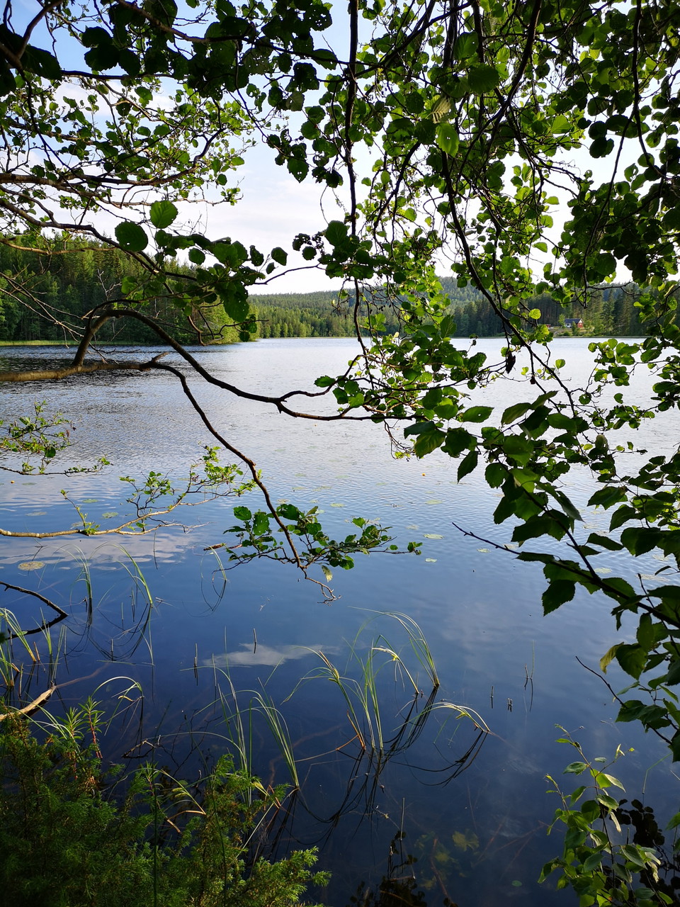 Foto: Åsa Eriksson