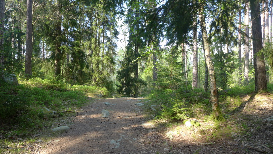 Fina barrklädda stigar