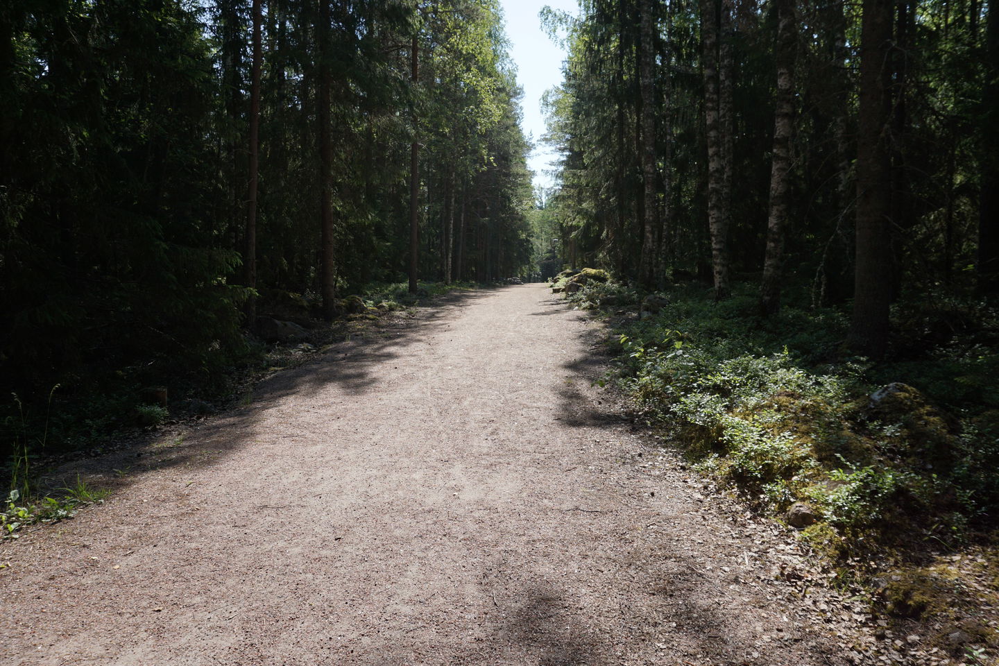 Motionsspår i skogsmiljö