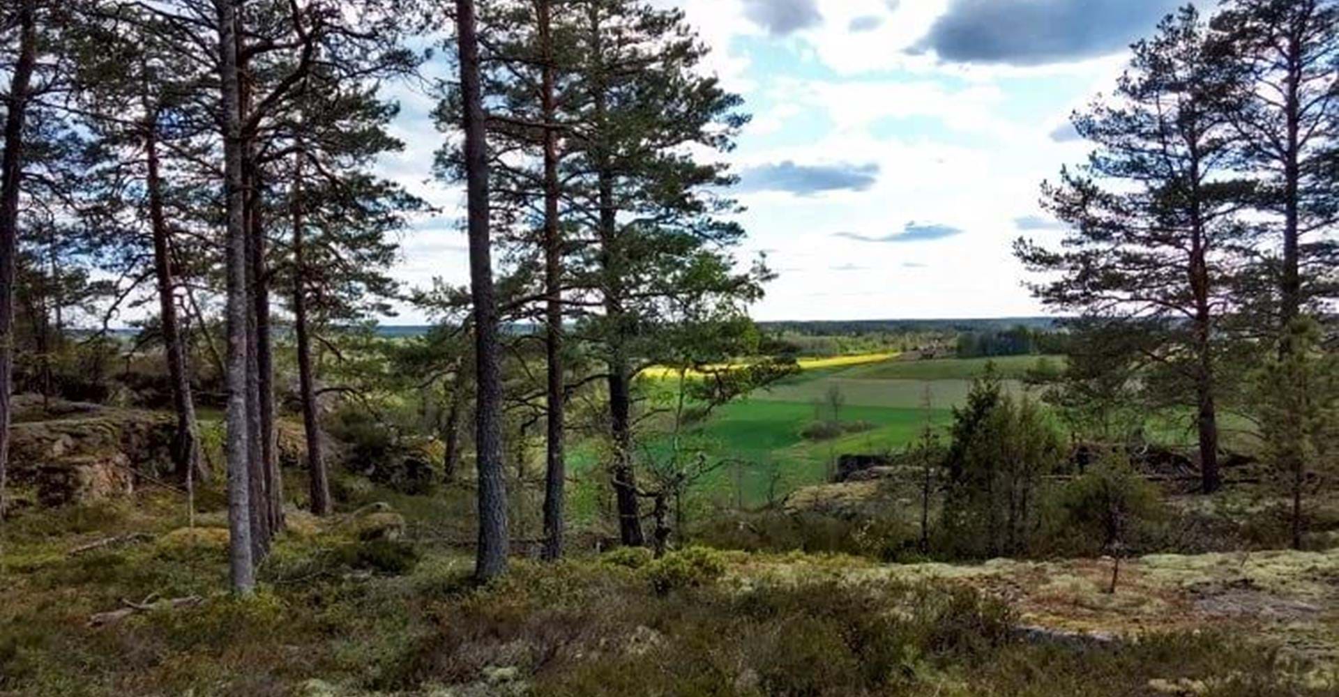 Utsikt fån Hällaskogen, Hälla naturreservat
Etapp: Hälla-Forsum
Söderköping