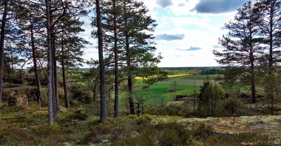 Utsikt fån Hällaskogen, Hälla naturreservat
Etapp: Hälla-Forsum
Söderköping