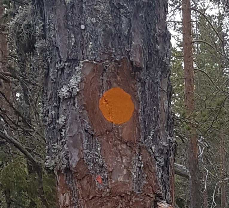 Ledmarkering som orange målad prick