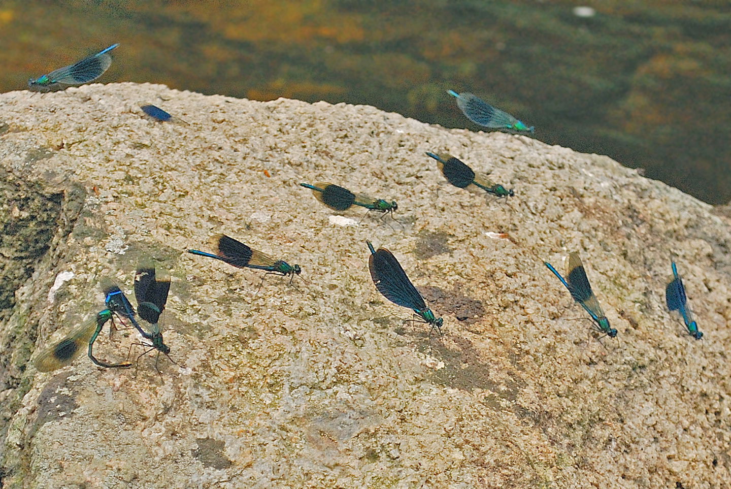 Fotograf: Tobias Ivarsson