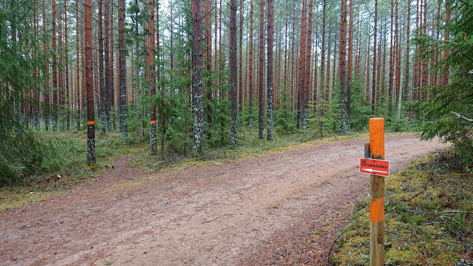 Mot Norra Morsjön