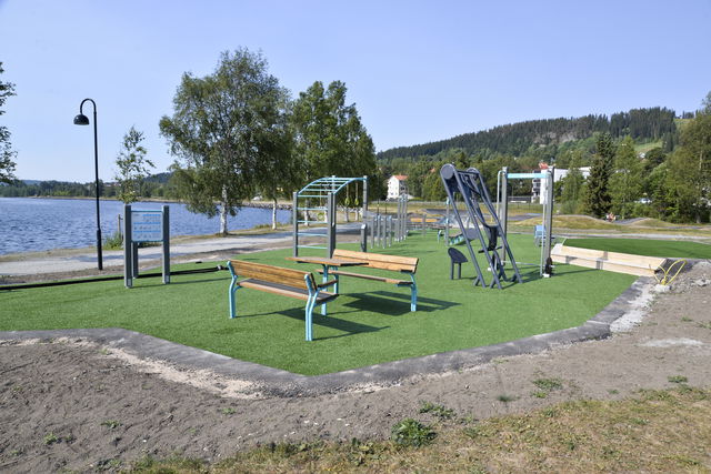 Dalhemsparkens utegym