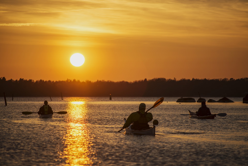 Nature guides and guided tours along ARK56 in the Blekinge Archipelago Biosphere reserve