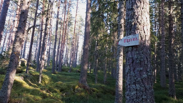 Venåsberget, stigen upp till vindskyddet.