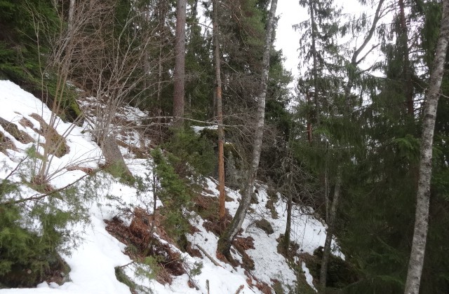 Tjärnberget är brant.