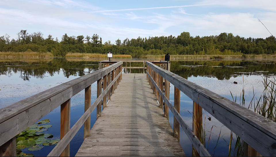 Ekebysjön Nature Reserve in Danderyd
