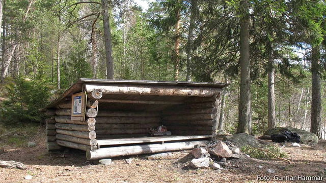 Rastplats vid Trehörningen, Trehörningsskogen
