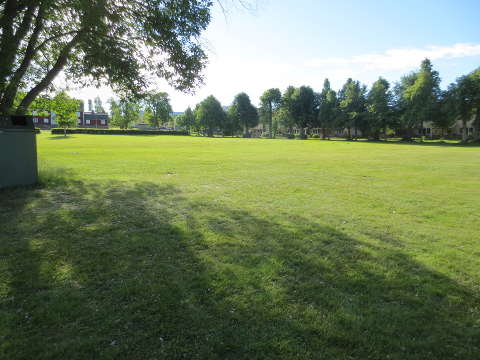 Stora gräsytor för lek och solbad