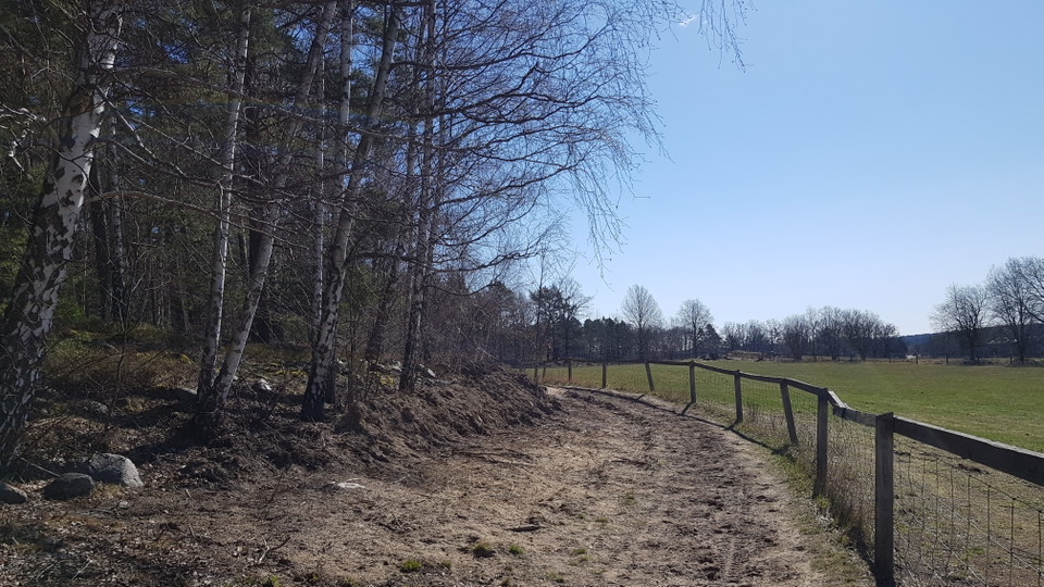 Sandmiljö vid ridstig. Foto Lidingö stad