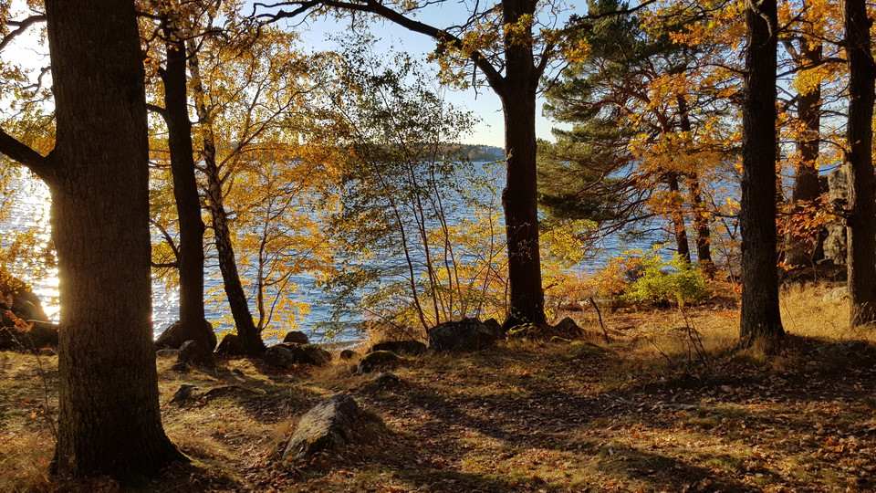 Strand i Kappsta. Foto Lidingö stad