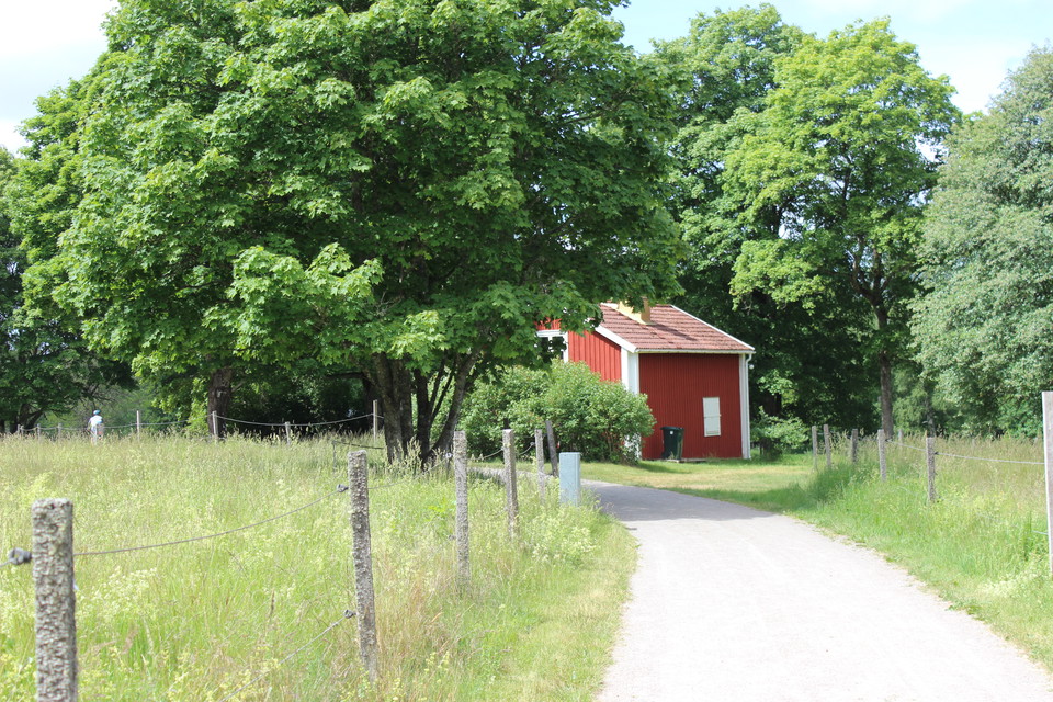 Växjö Runt passerar förbi
