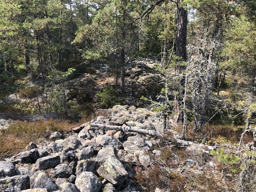 Ruin av fornborg i Borgbergets naturreservat.