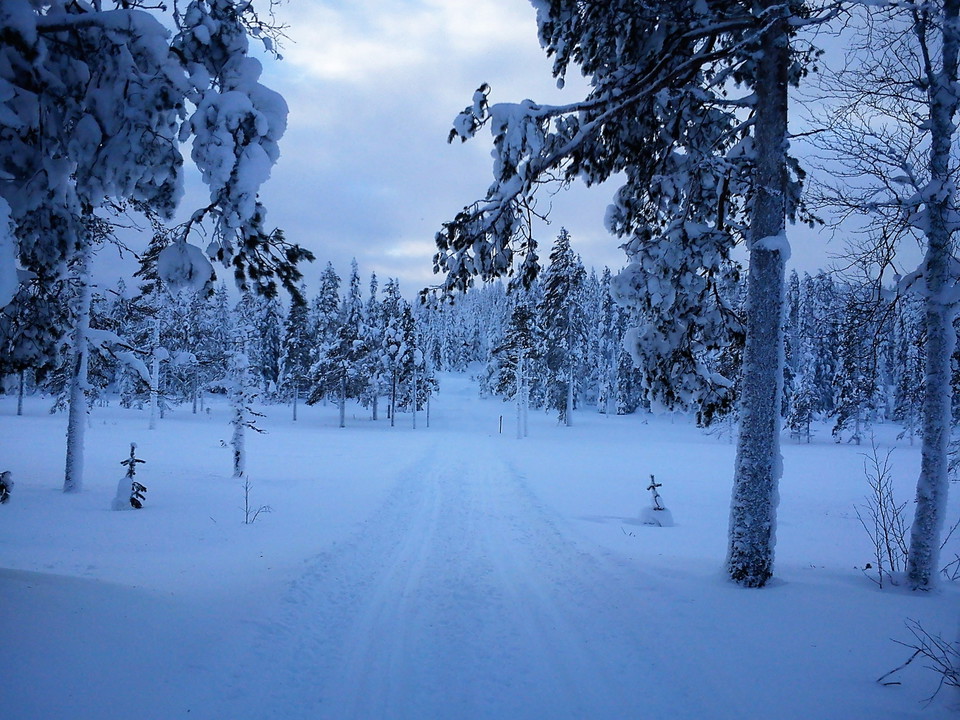 Skidspår i Harsa