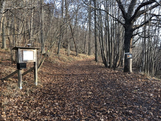 Entré syd Viksberg, Korpberget